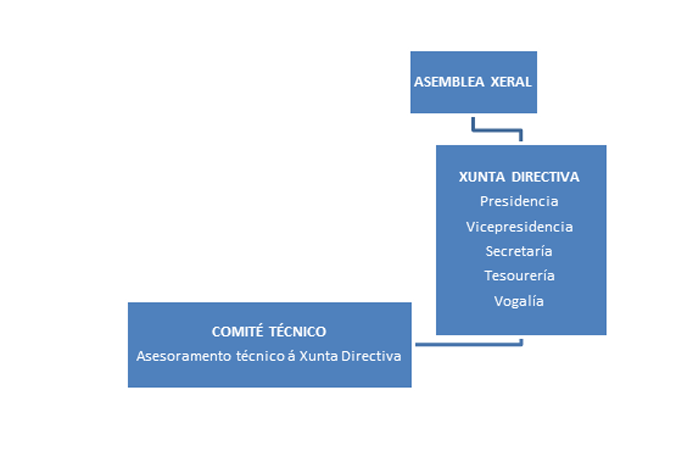 Estrutura Organizativa